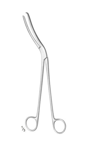 Sterilizing Forceps